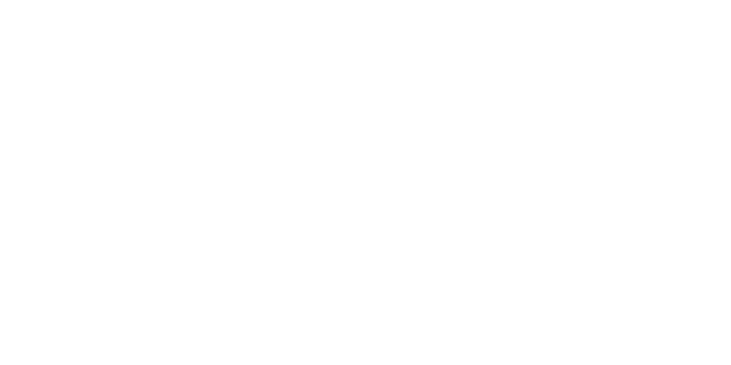 human point logo white